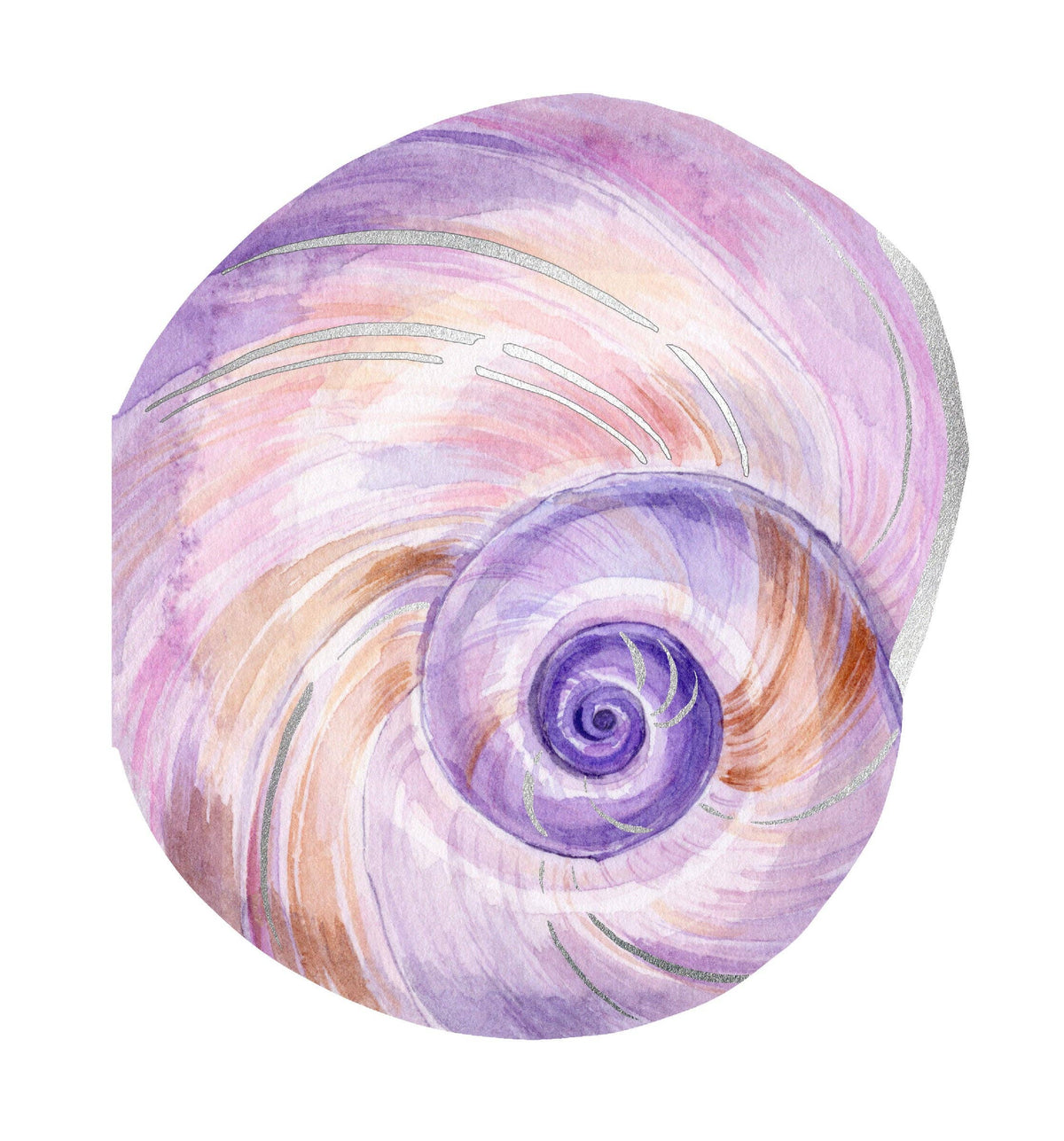 Shell Notes - 12 Shell-Shaped Cards & Envelopes (Notecards/Writing Paper)