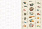 The Collage Compendium - 2,000 Images to Cut Out & Collage (Paperback)