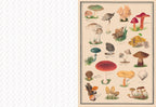 The Collage Compendium - 2,000 Images to Cut Out & Collage (Paperback)