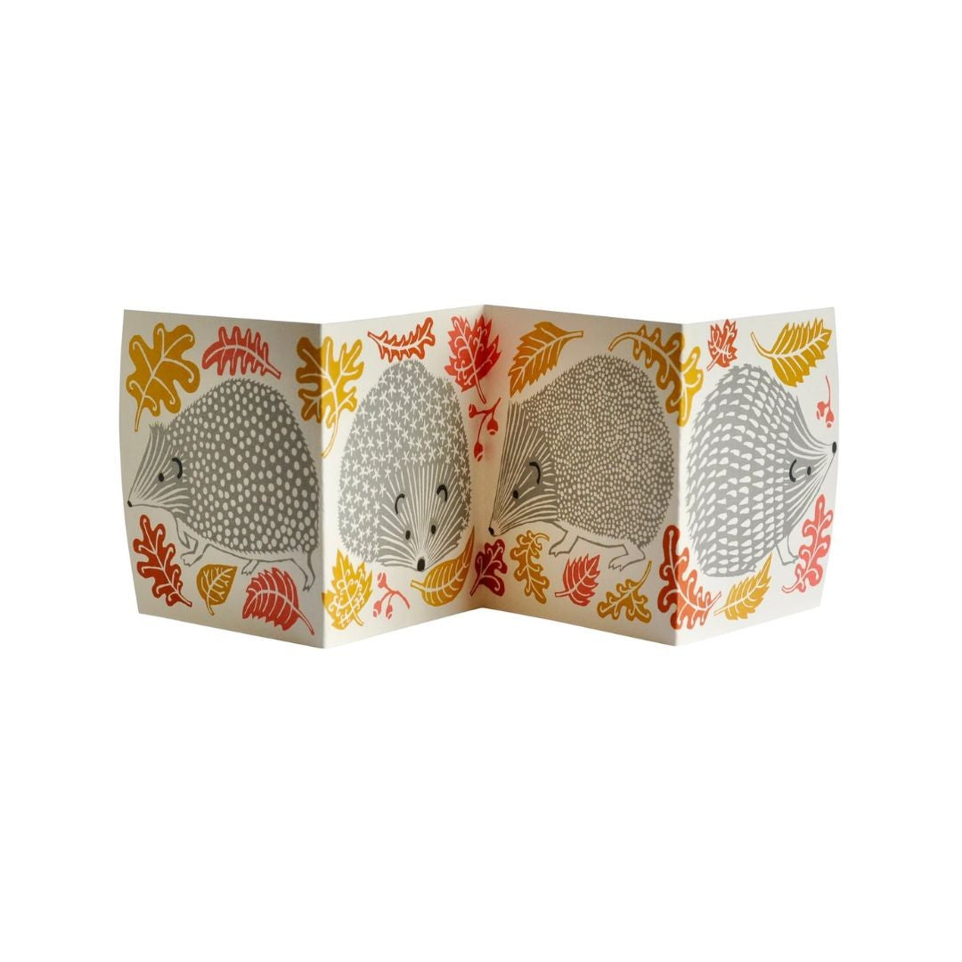 Special Hedgehogs Card