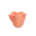 Glass Vase Coral Pink