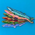 'Any Fin is Possible' Fish Bookmark