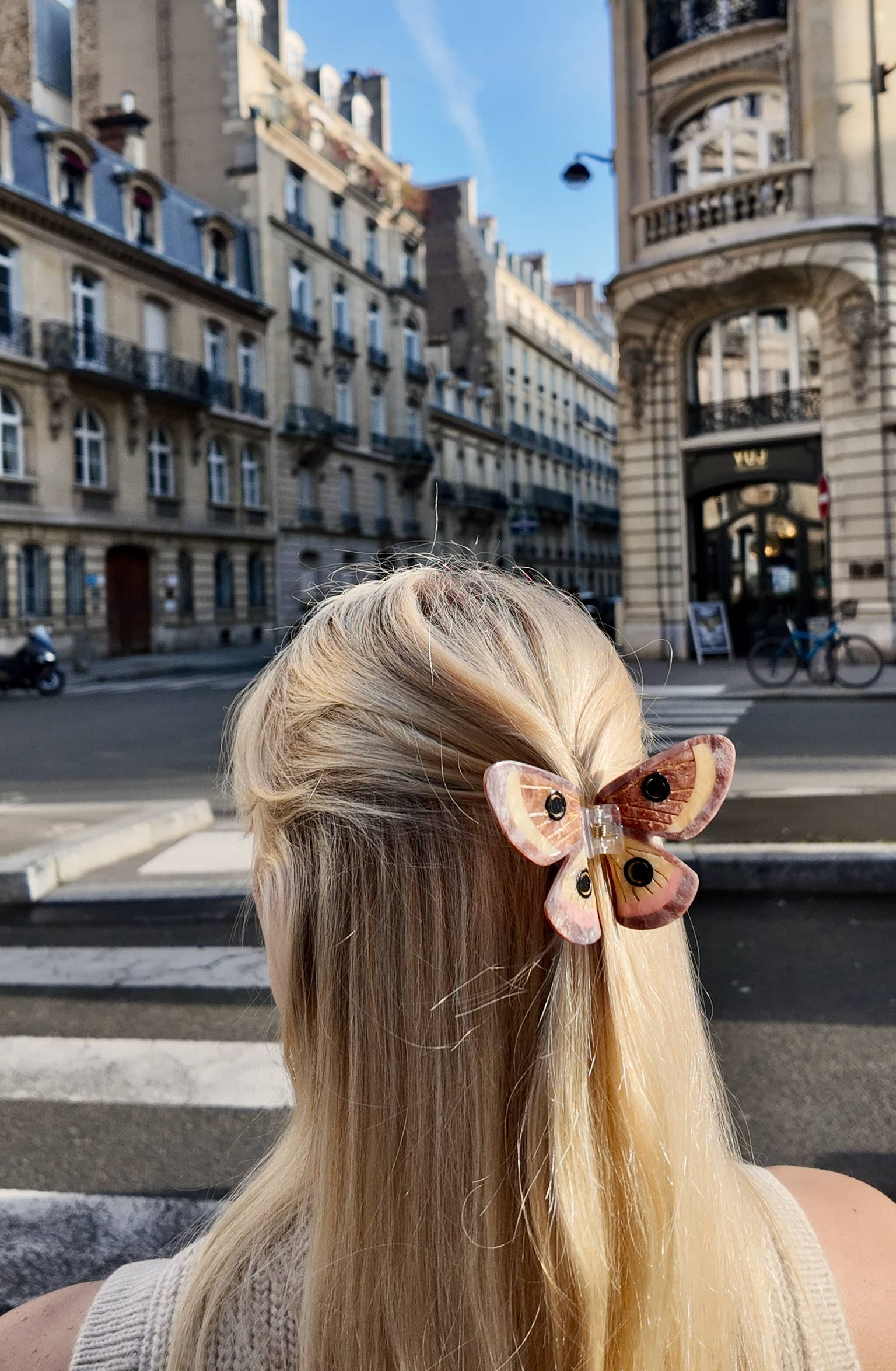 Hand-painted Silk Moth Claw Hair Clip