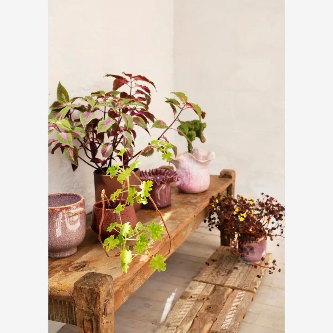 Glass Flower Pot Plum