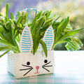 Blue & White Recycled Paper Bunny Shaped Basket