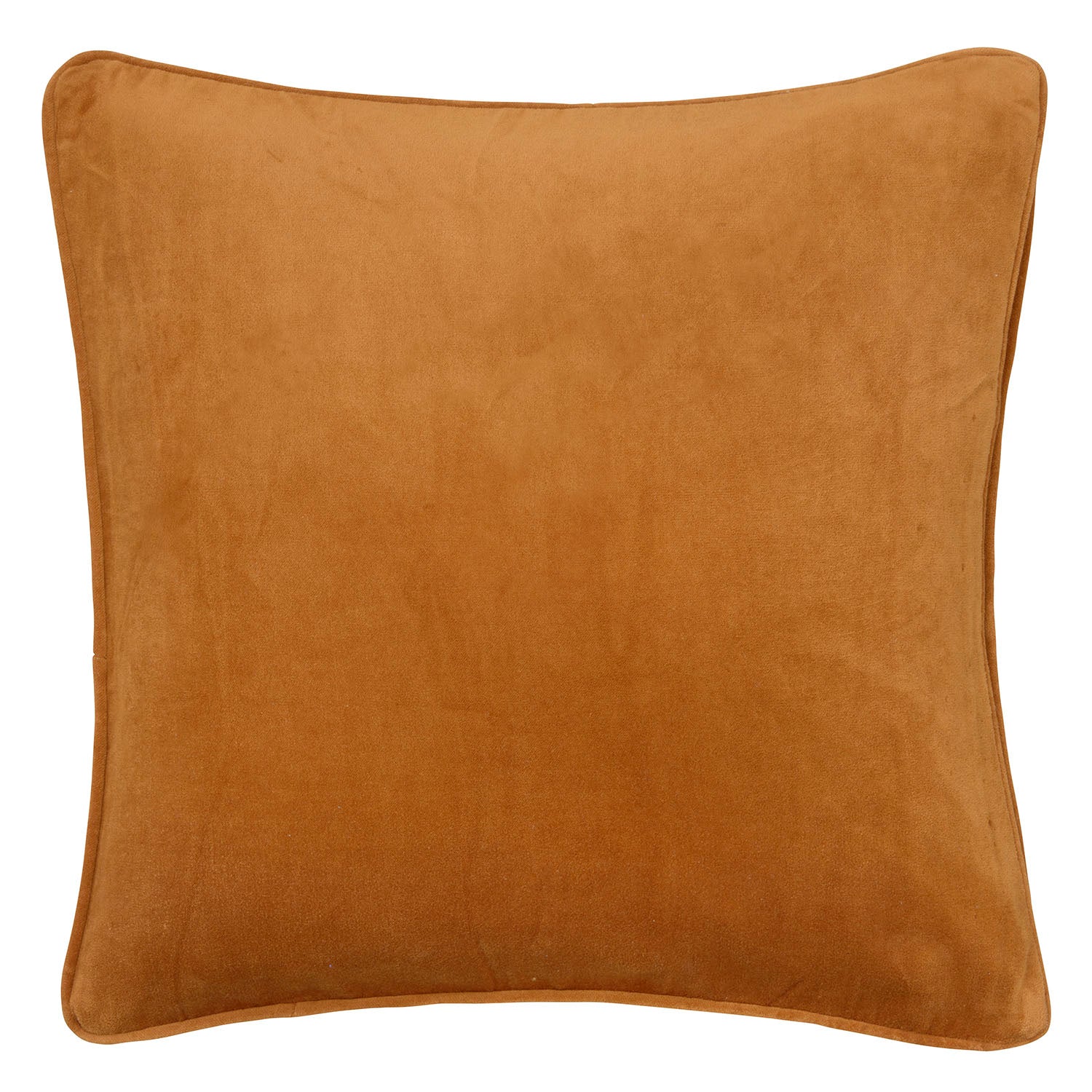 Velvet Cushion