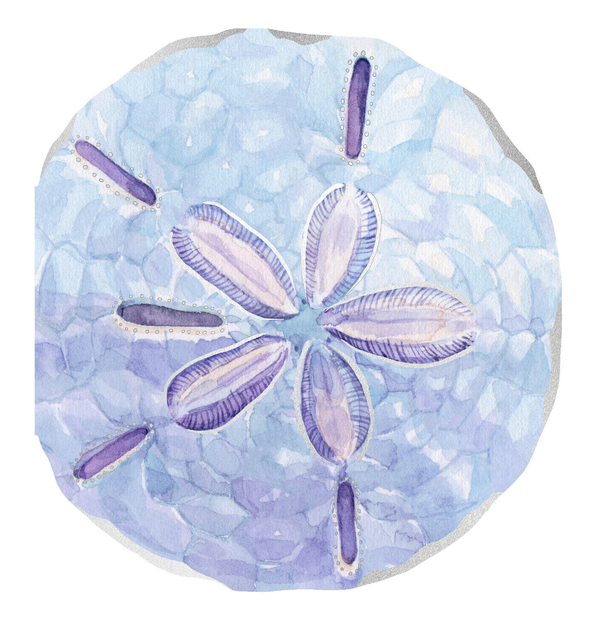 Shell Notes - 12 Shell-Shaped Cards & Envelopes (Notecards/Writing Paper)