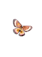 Hand-painted Silk Moth Claw Hair Clip