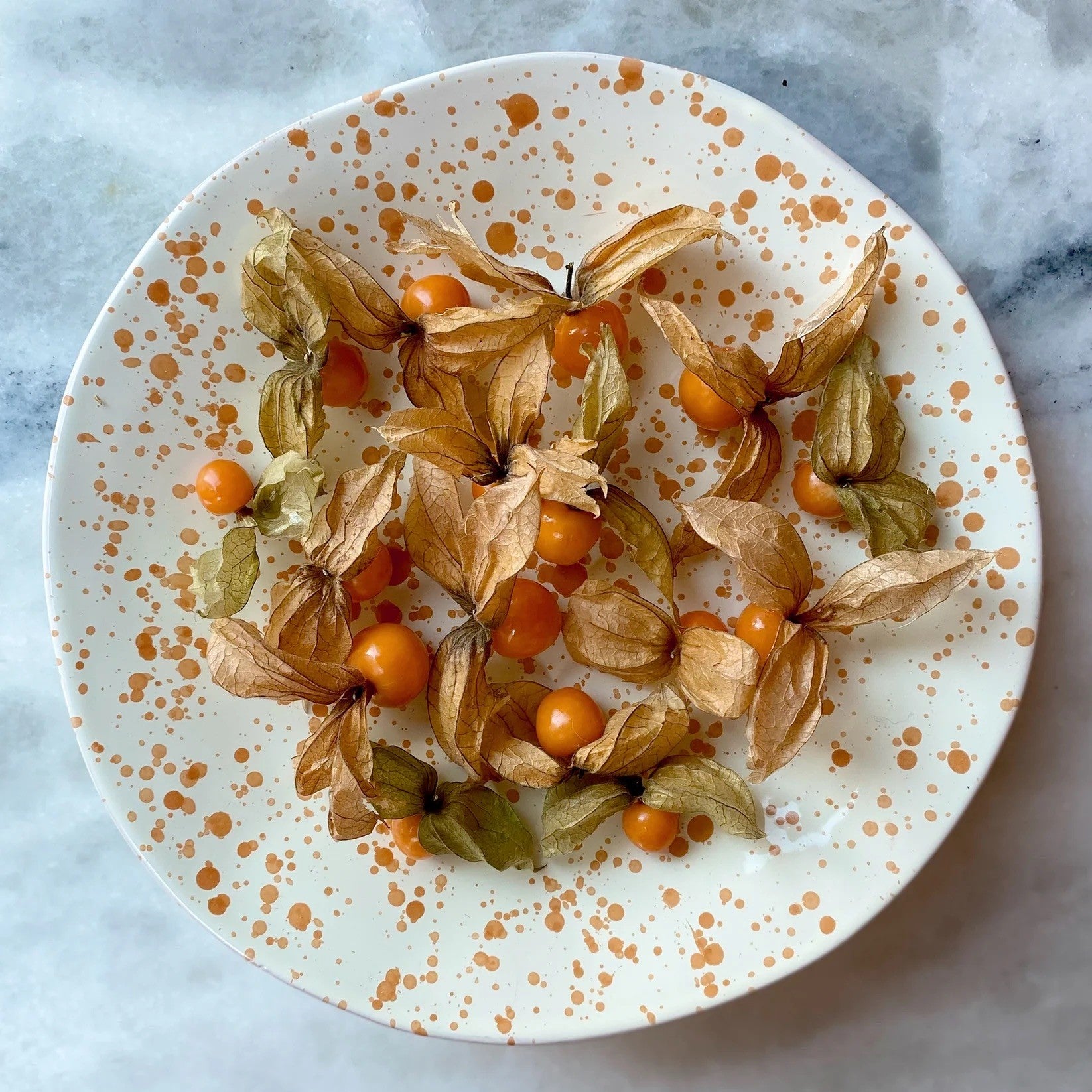 Puglia Splatter Shallow Serving Bowl