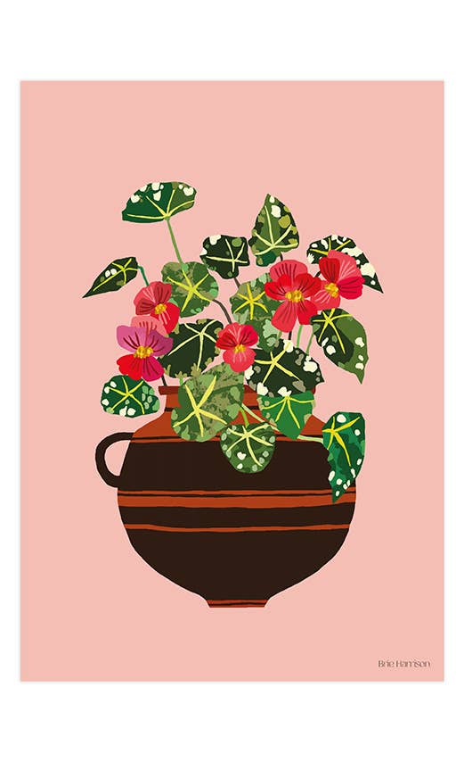 Begonia Print A3