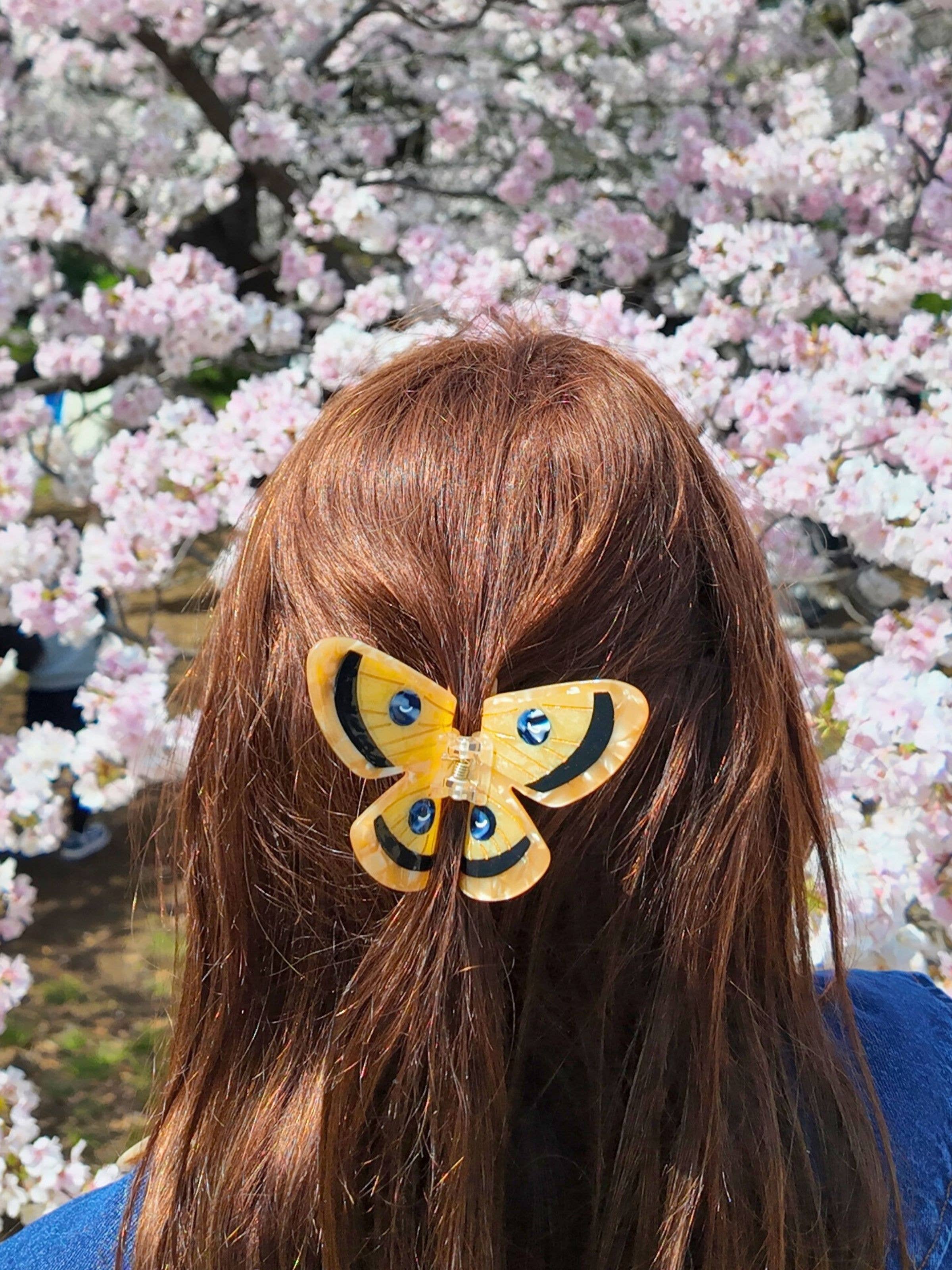 Hand-painted Emperor Silk Moth Claw Hair Clip | Eco-Friendly