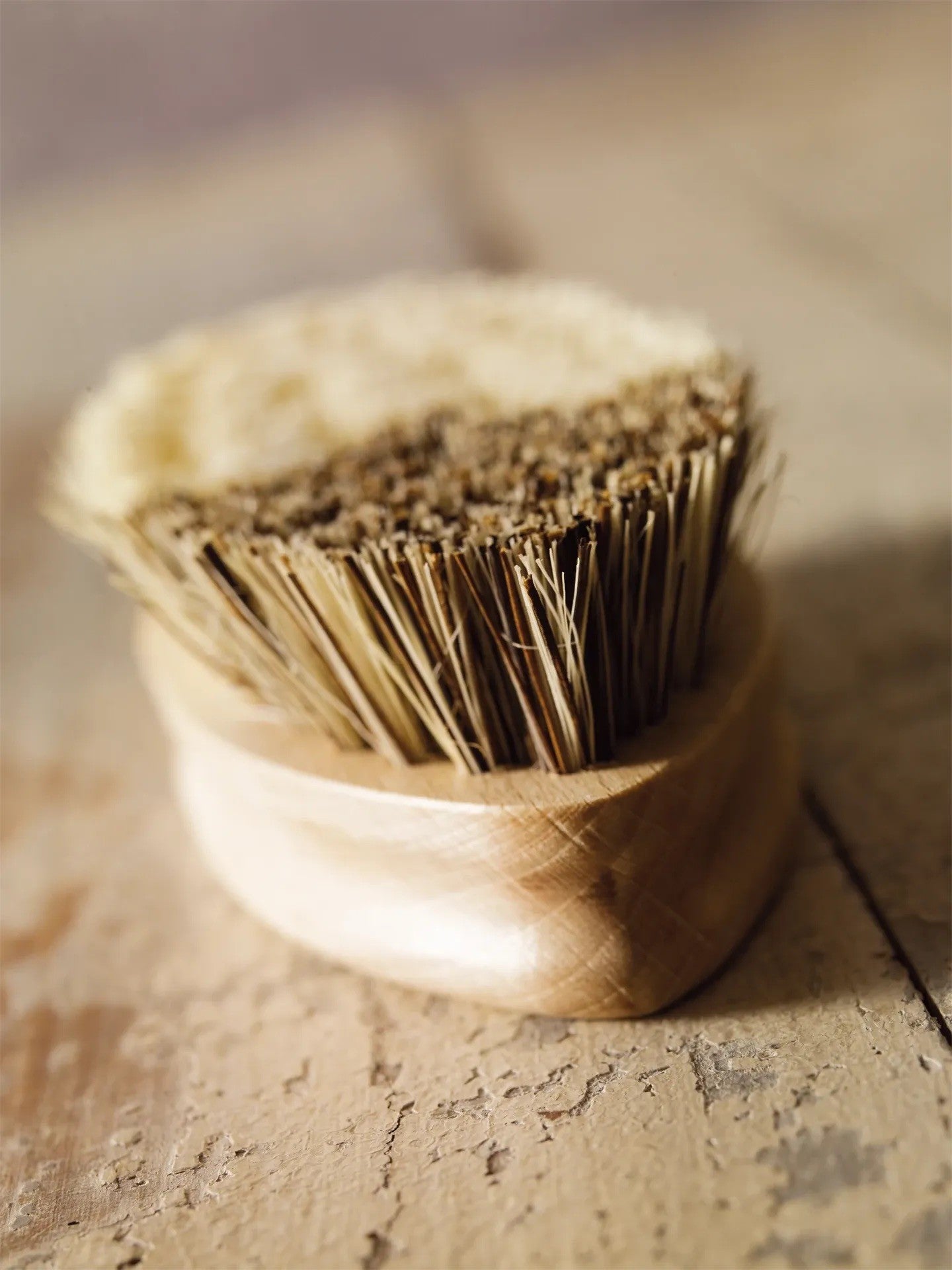 Brush