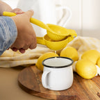Lemon Squeezer
