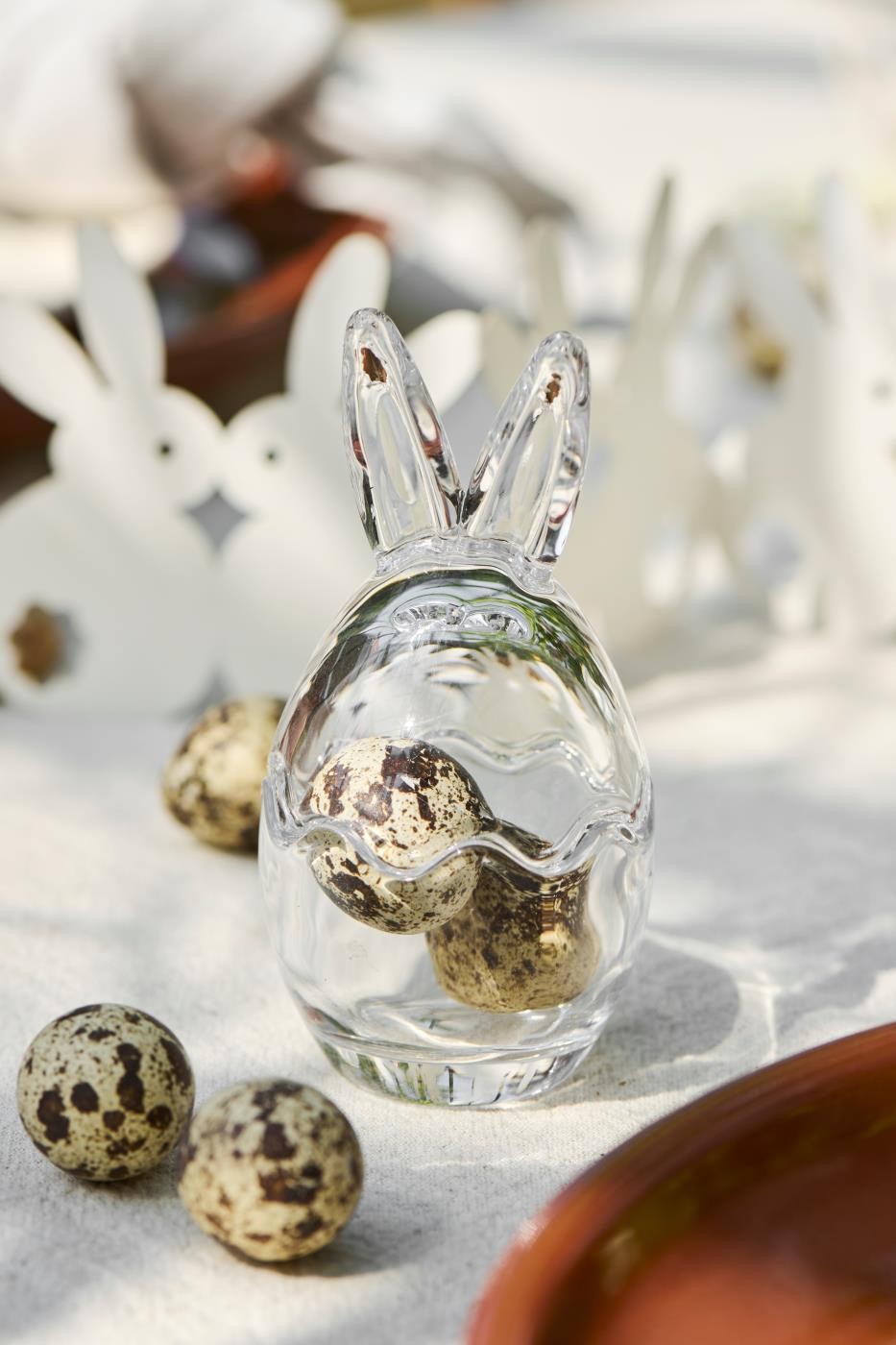 Quail Eggs