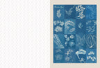 The Collage Compendium - 2,000 Images to Cut Out & Collage (Paperback)