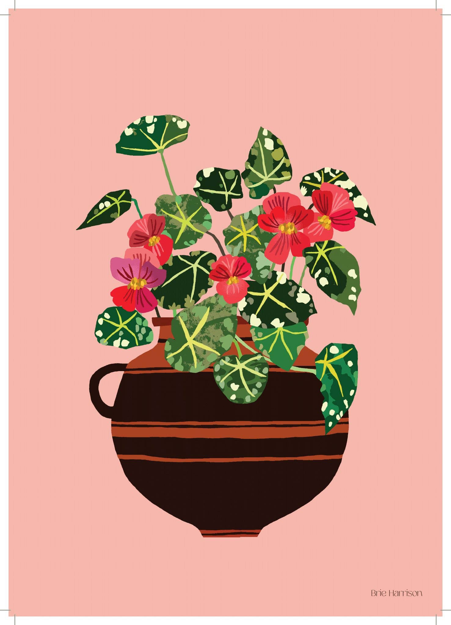 Begonia Print A4