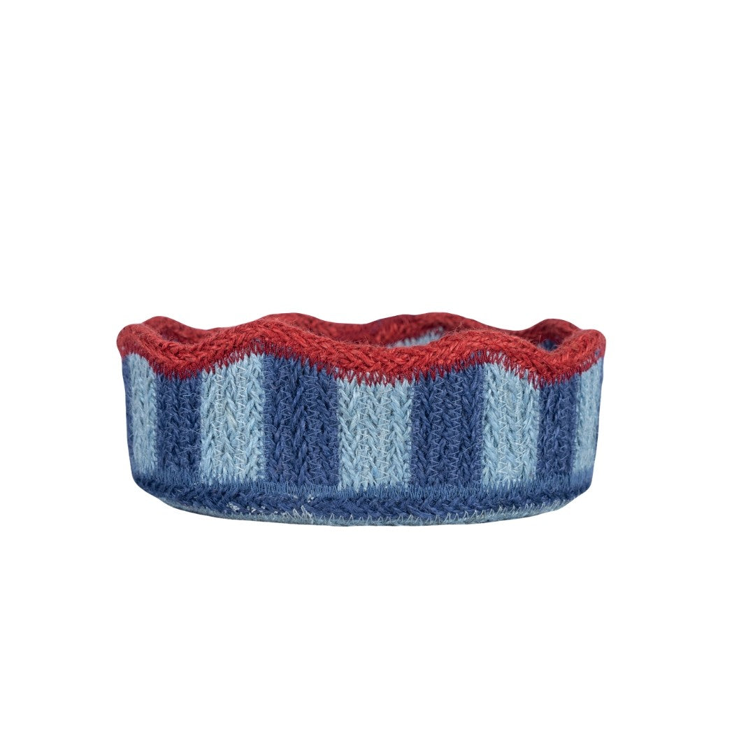 Mini Tulip Blueberry Basket
