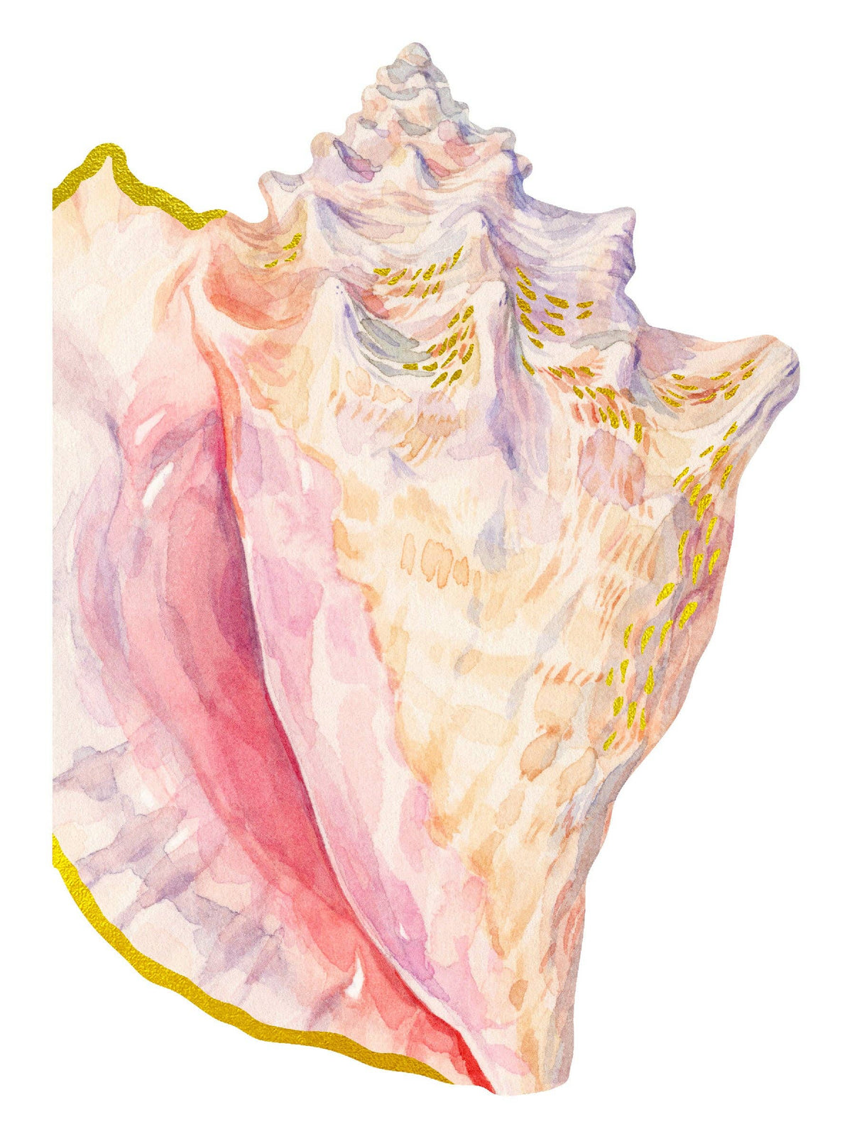Shell Notes - 12 Shell-Shaped Cards & Envelopes (Notecards/Writing Paper)