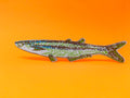 'Any Fin is Possible' Fish Bookmark