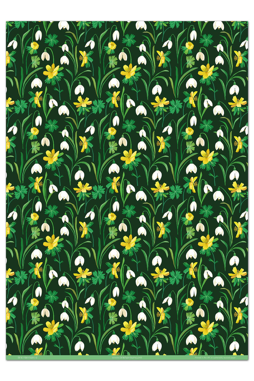 Snowdrops Gift Wrap