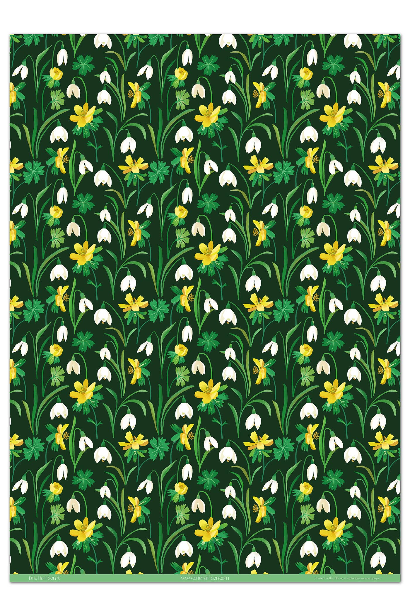 Snowdrops Gift Wrap