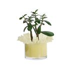 Glass Votives Dusty yellow