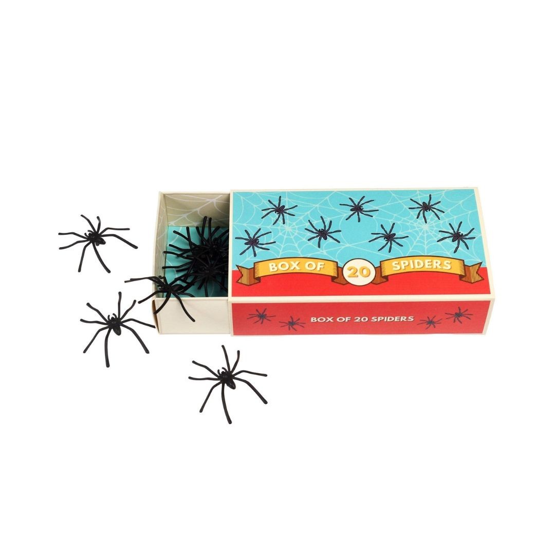 Box of 20 Spiders