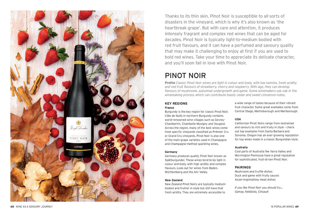Wine: Taste Pair Pour - by Charlotte Kristensen (Hardcover)