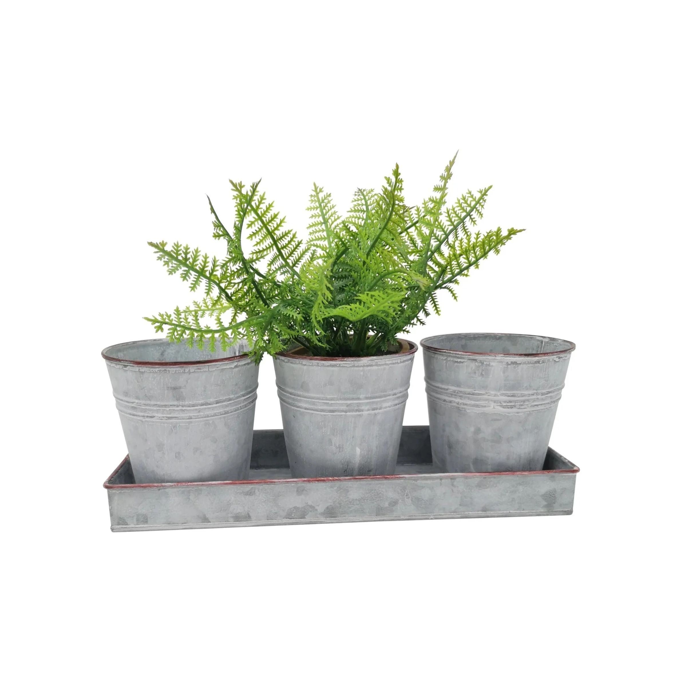 Zinc Plant Pot