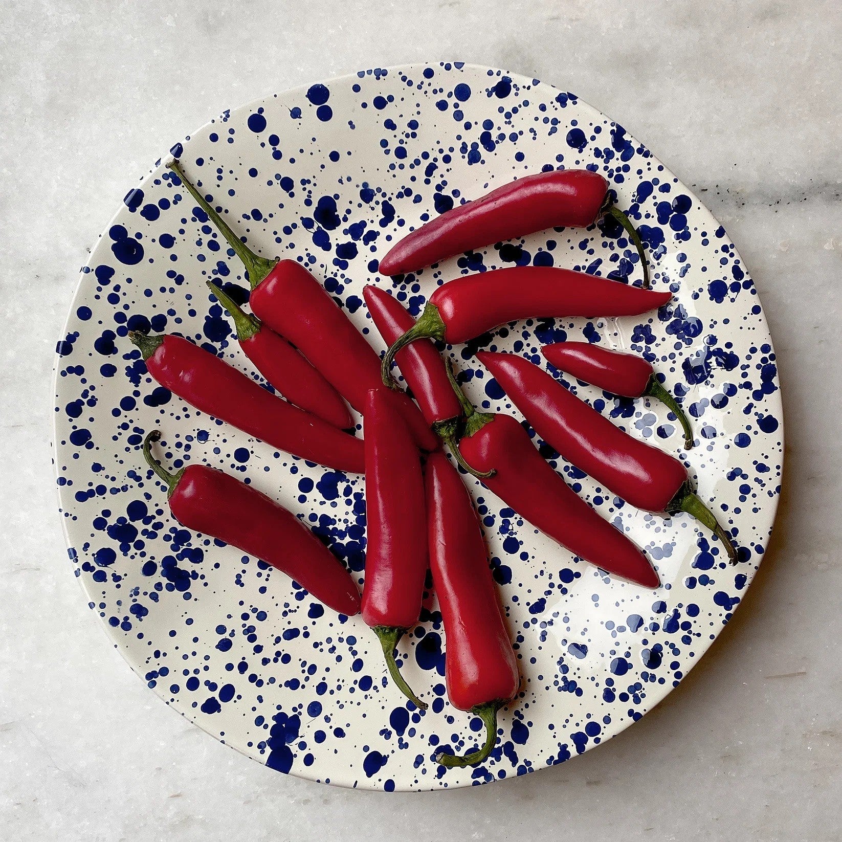 Puglia Splatter Shallow Serving Bowl