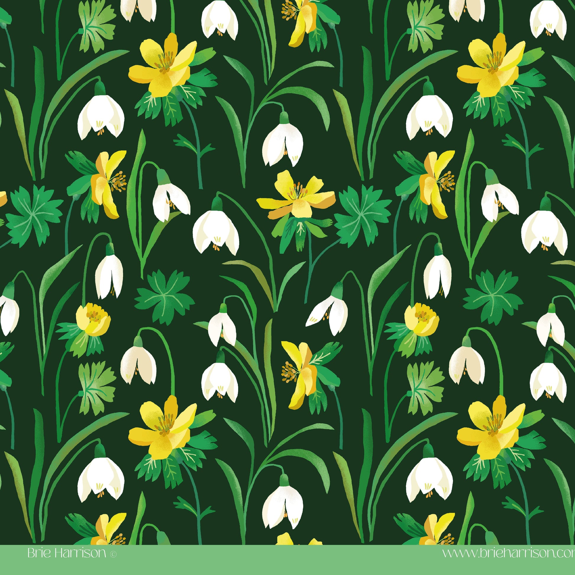 Snowdrops Gift Wrap