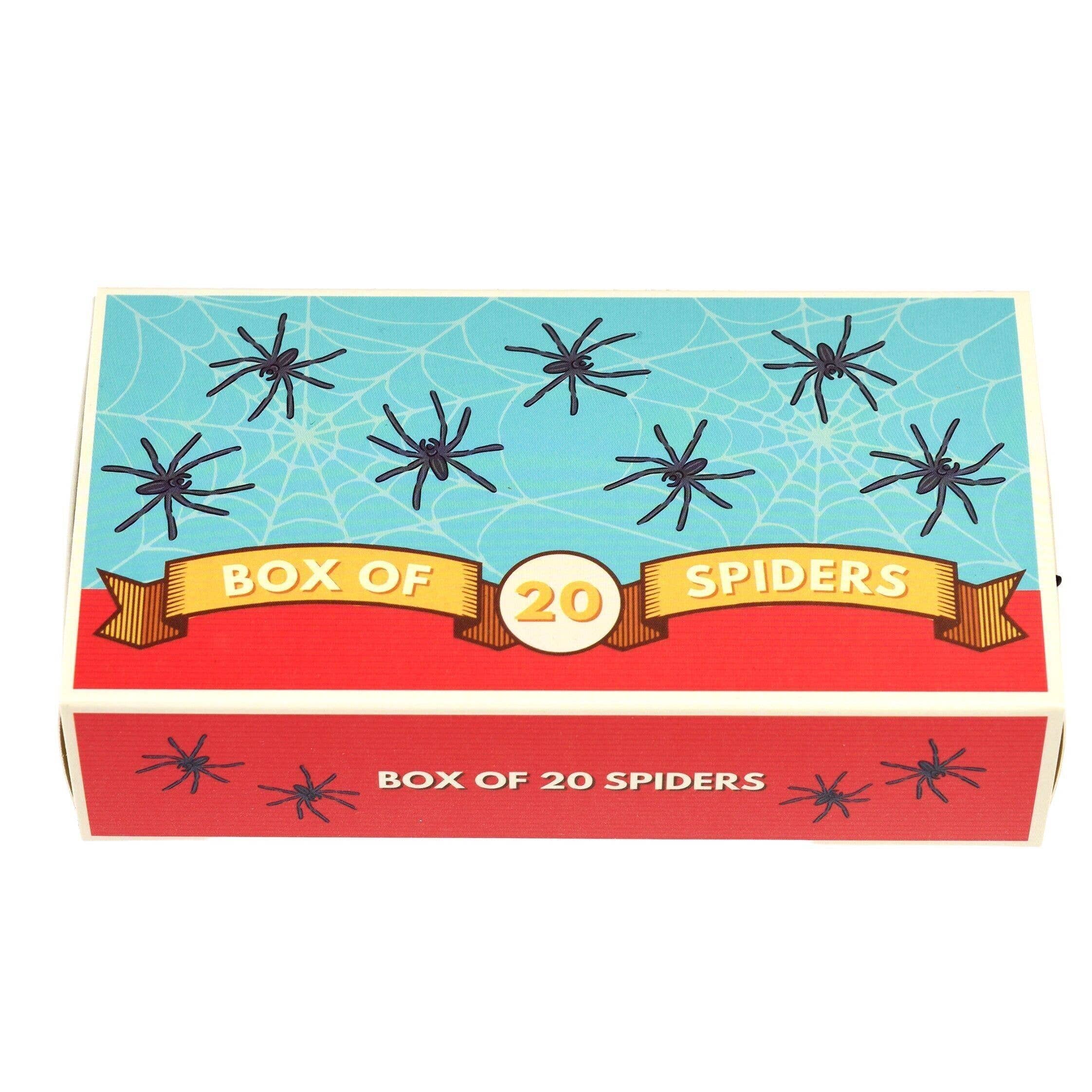 Box of 20 Spiders