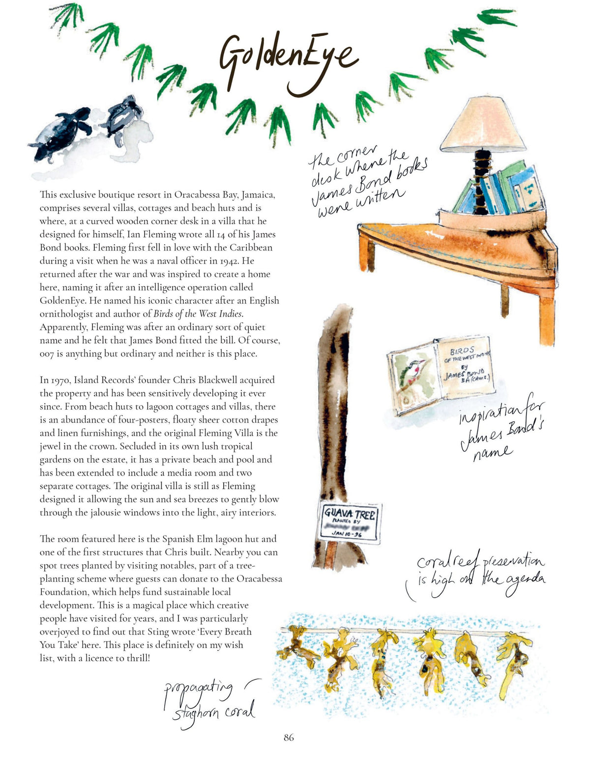 Painted Travels Book