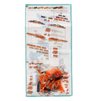 Build your own dinosaur model brick kit - Pterodactyl