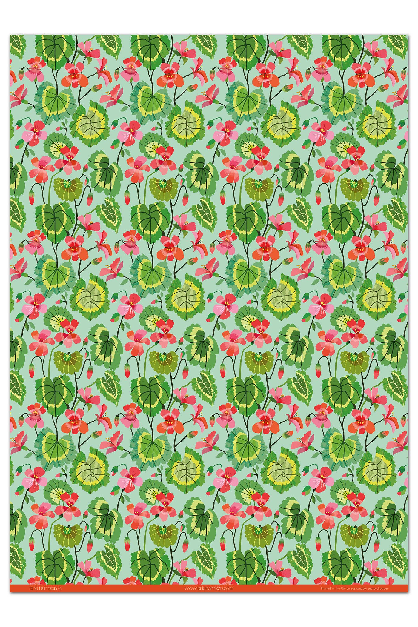 Geranium Gift Wrap