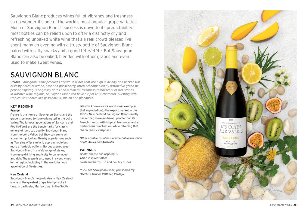 Wine: Taste Pair Pour - by Charlotte Kristensen (Hardcover)