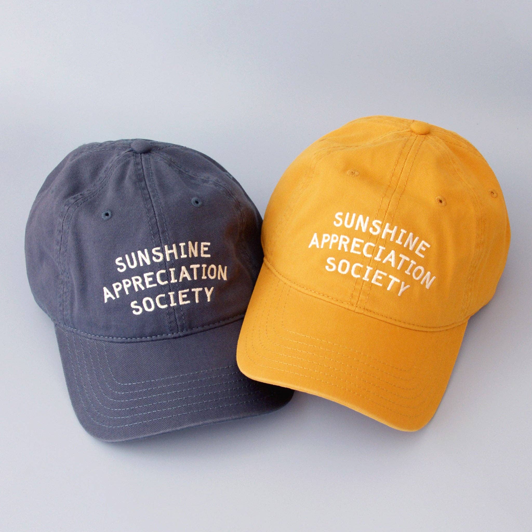 Sunshine Appreciation Society Blue Cap