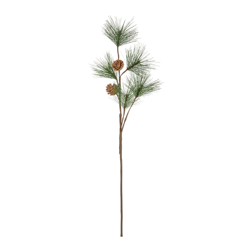 Pine Branch